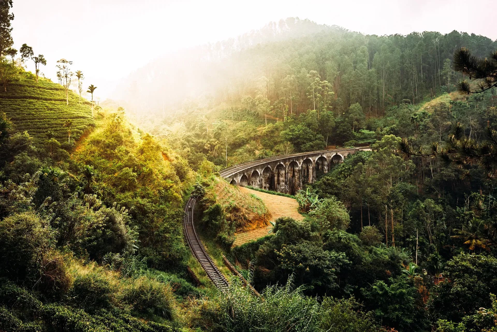 Nine Arch Bridge in Ella surrounded by tropical greenery