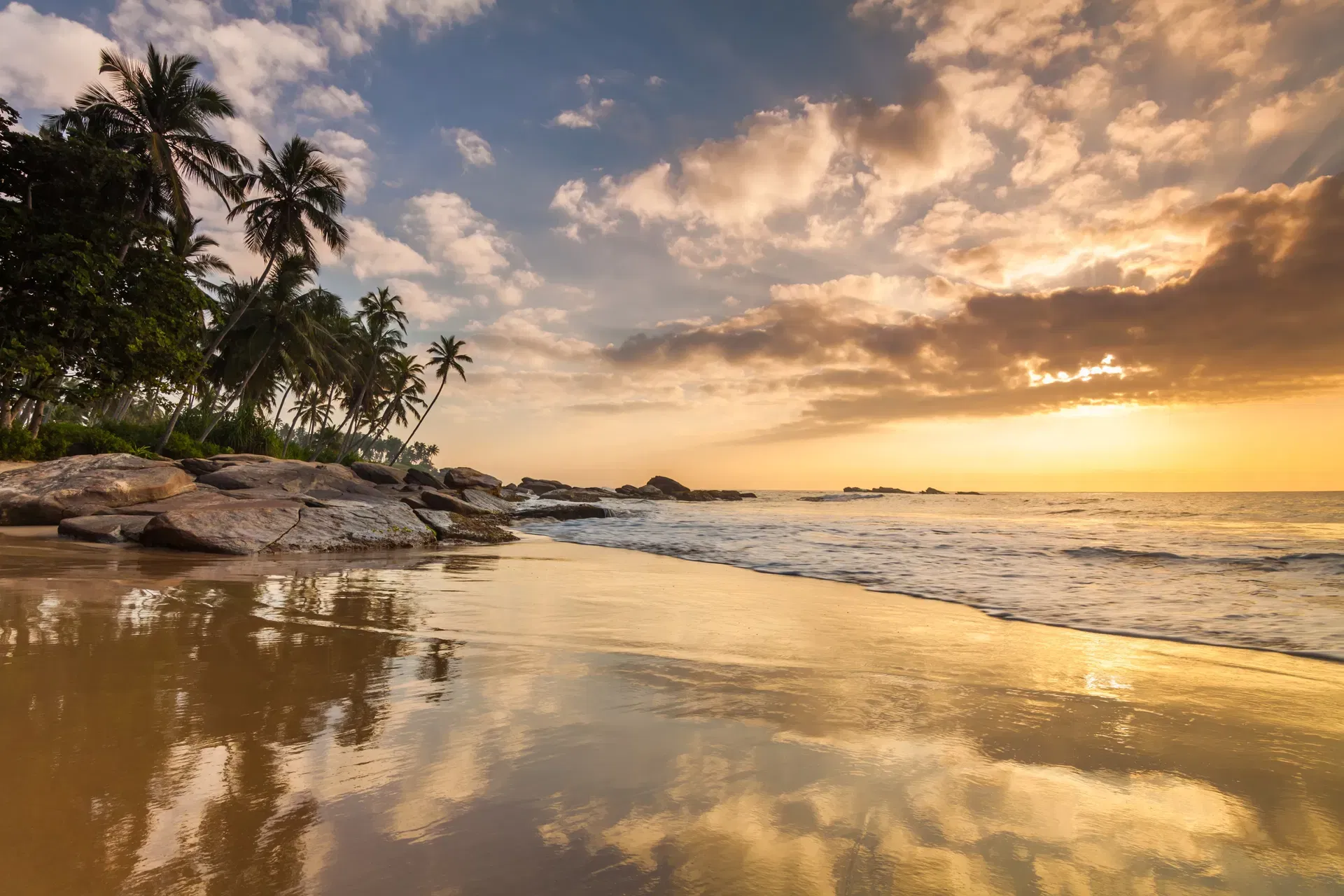 Sunset on a beach with coconut palms in Sri Lanka